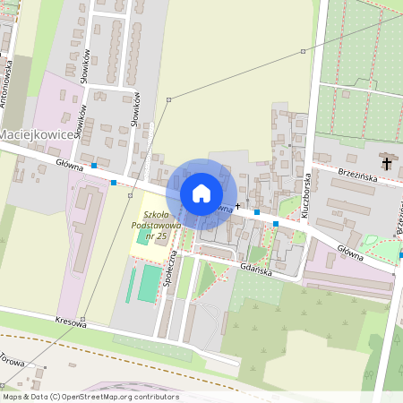 ul. Główna, Maciejkowice, Chorzów Stary, Chorzów, śląskie