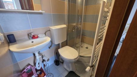 Two-room apartment for rent in Cluj-Napoca, located in the historic center, approximately 10 minutes from the University of Medicine and Pharmacy. - Fotografie 4