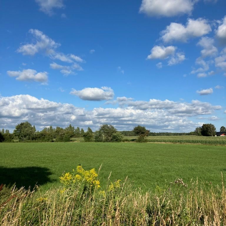 Pilgatan, Ljungbyhed - Foto 1
