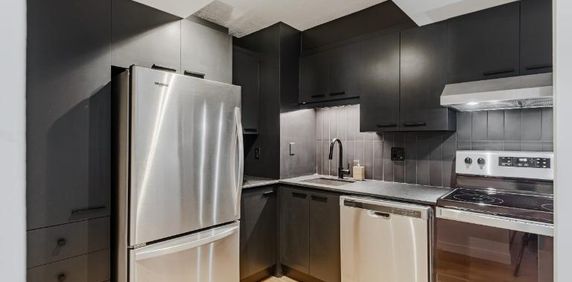 3 ½ entièrement meublé à louer Saint-Jean-Baptiste novembre 2024 - Photo 2