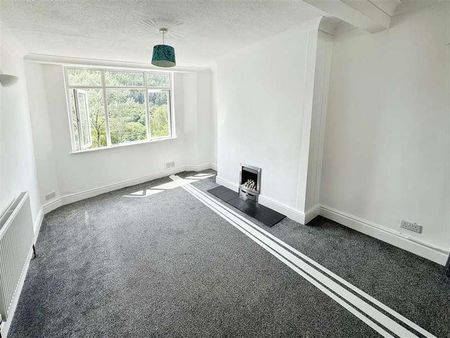 Alexandra Road, Six Bells, Abertillery, NP13 - Photo 5