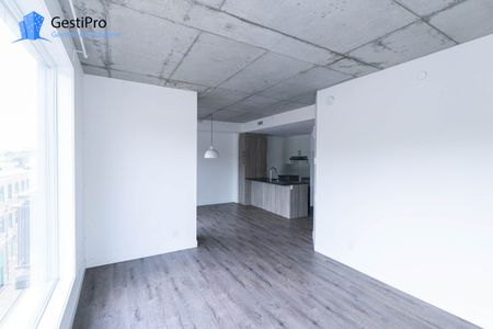 175 St-Vallier Est – Le Gecko - Photo 3