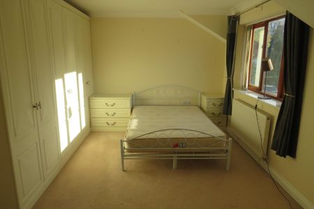 Sophia Walk - Photo 4