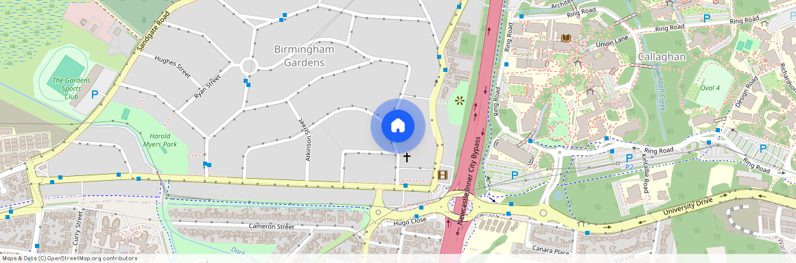 16 Naughton Avenue, NSW 2287, Birmingham Gardens