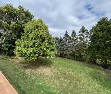 For Lease - 386 Caithness Street Unit# upper, Haldimand, Ontario - Photo 3