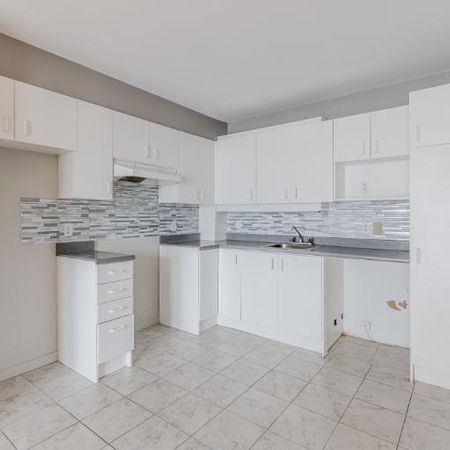 Appartement 5 ½ à louer Lévis octobre 2025 - Photo 4