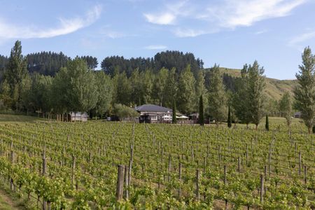 Fully furnished idyllic vineyard retreat - ... - Photo 4