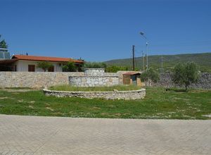 Βίλα για ενοικίαση - Άγιοι Θεόδωροι, - Photo 4