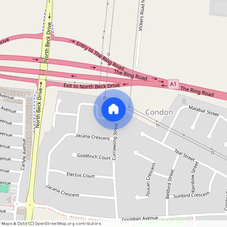 46 Currawong Street, Condon QLD 4815