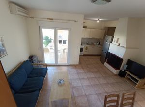 Διαμέρισμα για ενοικίαση - Κασσάνδρα, - Photo 5