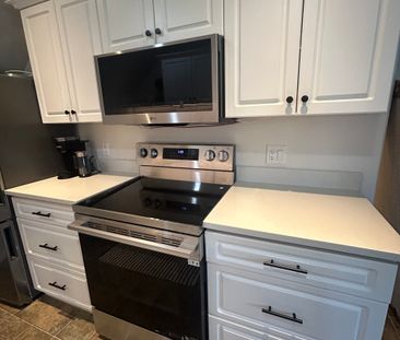 Fully Furnished Newly Renovated Modern Suite - Photo 4