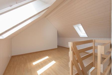 Einzigartige Wohnung mit Dachzimmer - Foto 5