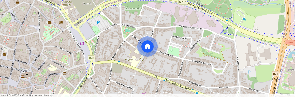 Theresiastraat, 3500 Hasselt