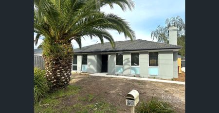 Give me a home among the palm trees! - Photo 2