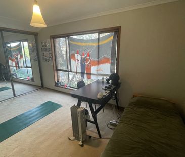 Collingwood - Photo 4