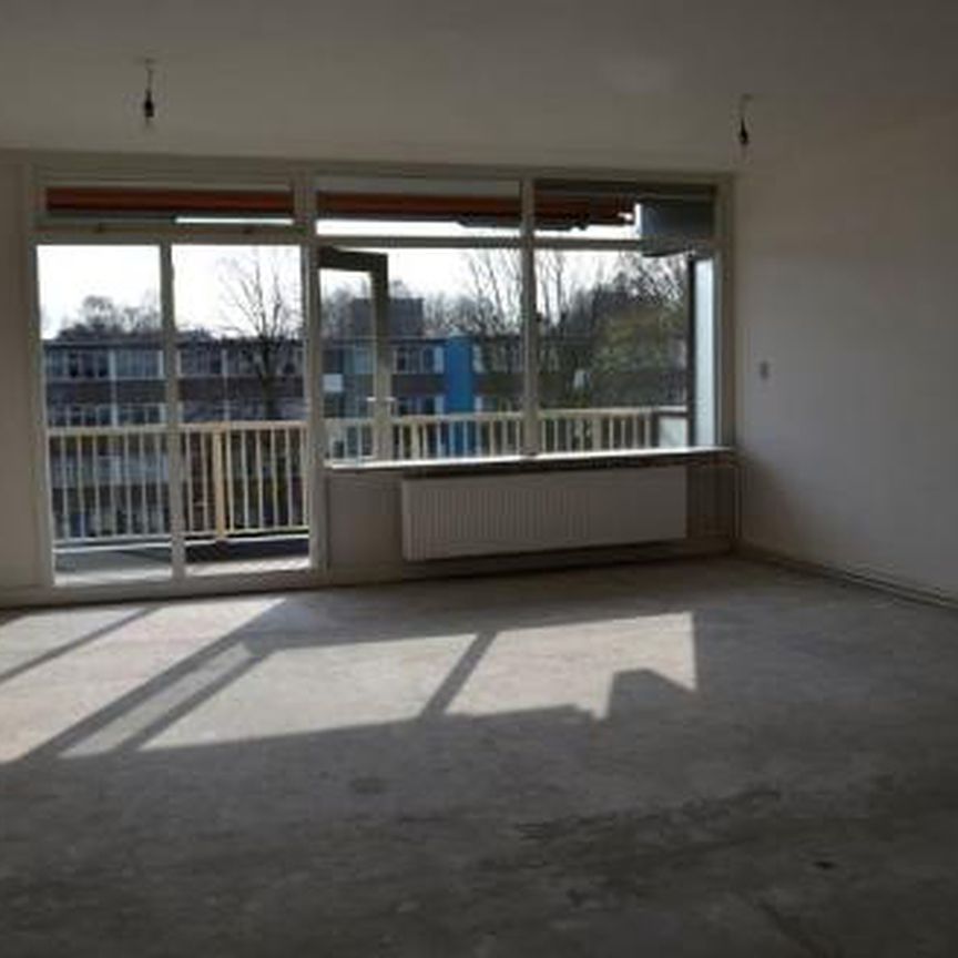 Spinaker 1034 MD Amsterdam - Photo 1