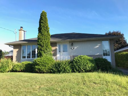 For Lease - 244 Weighton Drive, Oakville, Ontario - Photo 5