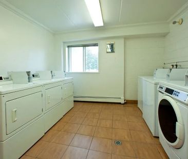 For Lease - 80 Rockwood Avenue Unit# B312, St. Catharines, Ontario - Photo 1