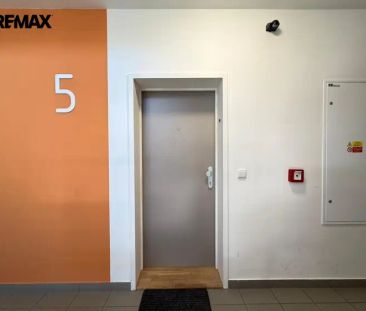 Exkluzivně nabízím pronájem bytu 1+kk/lodžie/sklep, který je uprave... - Photo 5