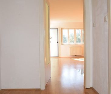Sonnige, perfekt ausgestattete Wohnung mit Südbalkon in Hietzinger ... - Photo 2