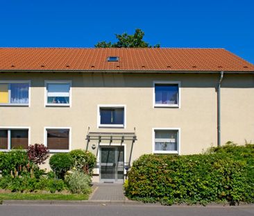 Helle 3-Zimmer-Wohnung im Erdgeschoss! - Foto 2