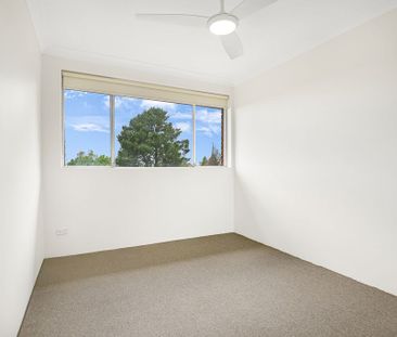 Oversized Updated Apartment - Photo 1