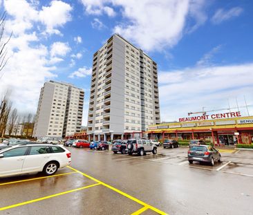 Logement confortable pour toute la famille - Foto 3