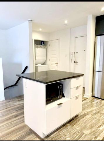 Appartement à Montréal (Le Sud-Ouest) - Photo 5