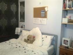 Attractive, fully-modernised, detached property in central erdington - Photo 4