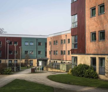 Deluxe (Shared Bathroom) - Photo 5