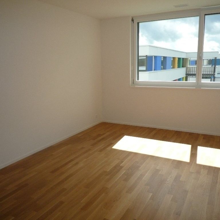 3 ½ Zimmer-Wohnung in Schwerzenbach mieten - Photo 1
