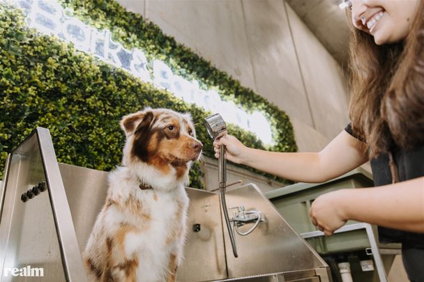 E210/8 Caulfield Boulevard, Caulfield North VIC 3161 - Apartment For Rent | Domain - Photo 1