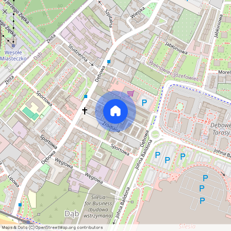 Dąb, Katowice, śląskie