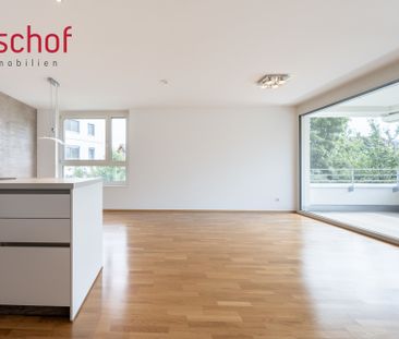 Schöne 3-Zimmer-Wohnung im Zentrum zu vermieten - Foto 4