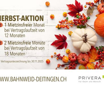 1 MONTH FREE – FIRST RENTAL BAHNWEID IN DEITINGEN HIGH-QUALITY LIVI... - Photo 5