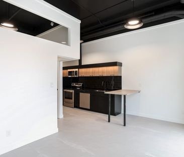 Newport: Loft Suites – 710 Westminster, Winnipeg, MB - Photo 5