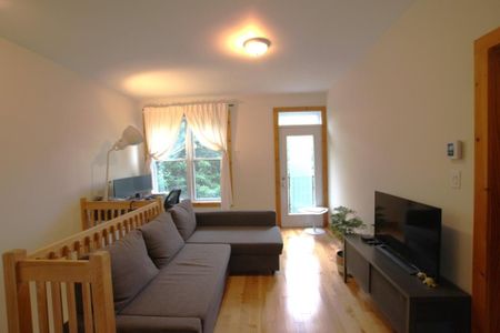 5934 Rue Beaulieu, H4E 3E8, H4E 3E8, Montréal - Photo 3