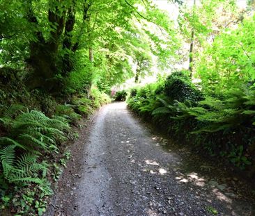 Ash Mill, South Molton, Devon, EX36 - Photo 6