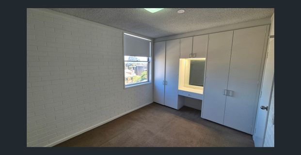 Bright 2 Bedroom Corner Apartment - Photo 1