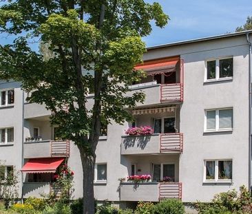 Moderne Wohnung im Eichelkamp - Foto 5