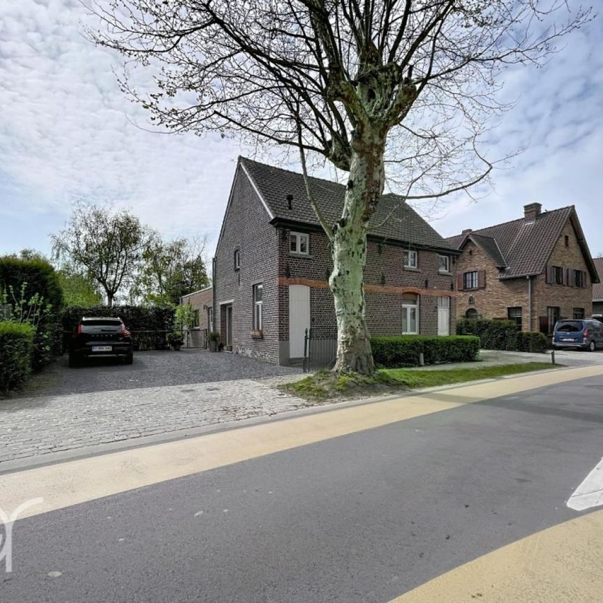 Huis te huur in Sint-Martens-Latem - Photo 1