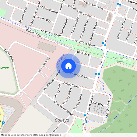 24 Caraway Street, WA 6164, Treeby