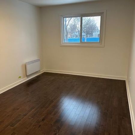 4 1/2 - Montréal (Anjou) - 1 600 $/mois - Photo 3