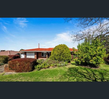 10 Redwood Lane, Willetton, WA 6155 - Photo 3
