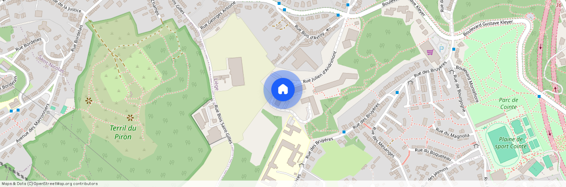 Rue Julien d'Andrimont, 21, 4000, Liège