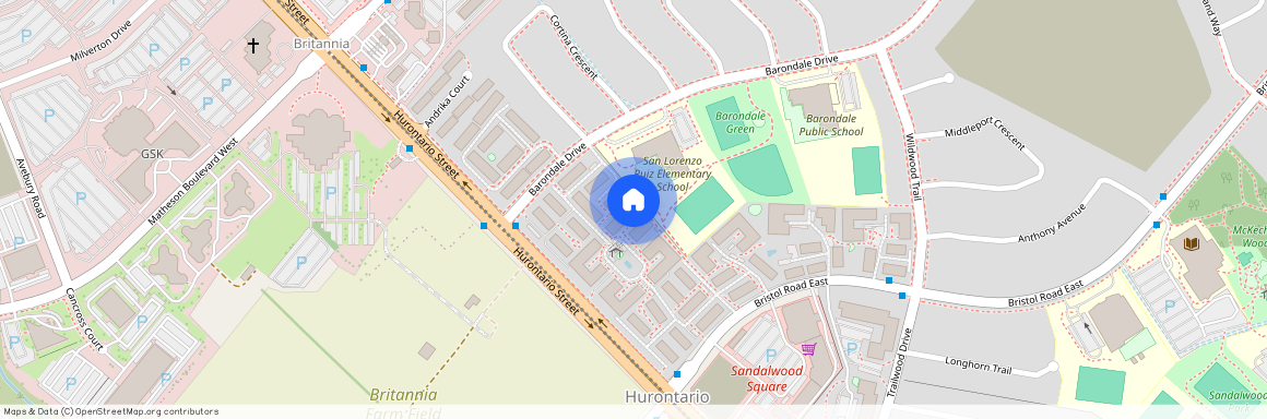 85 Bristol Road, Mississauga