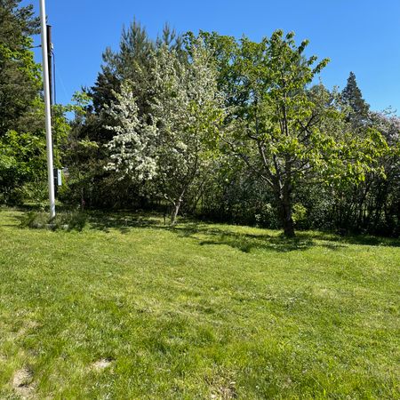 Stugvägen, Svartsjö - Foto 4