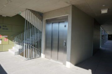 Frühlingserwachen - Foto 1