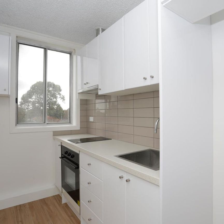 Beautiful two bedroom apartment in prime position - Photo 1