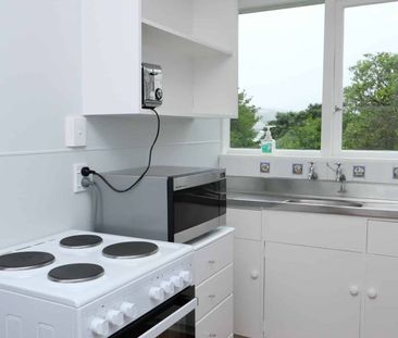 Charming, Well-Presented One-Bedroom Home in the Heart of Brooklyn - Photo 5